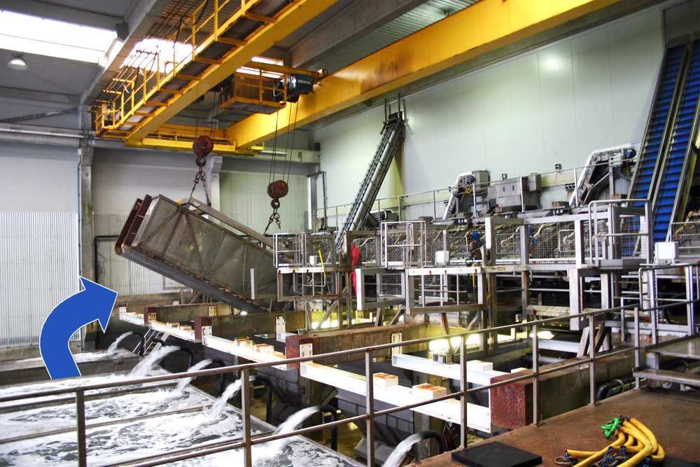 Sistemas de accionamiento robustos y resistentes al agua de mar para las cintas transportadoras de una fábrica (instalación para la preparación) de mariscos